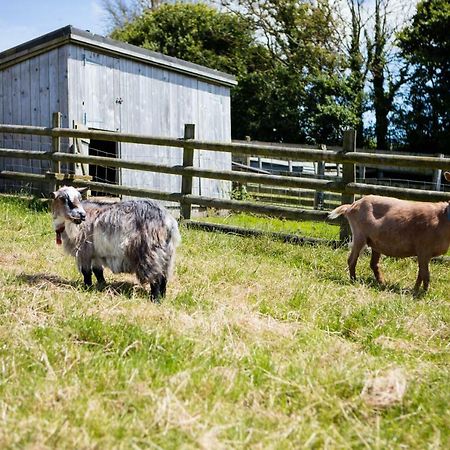 Sharlands Farm Holiday Cottages Bude Exterior foto