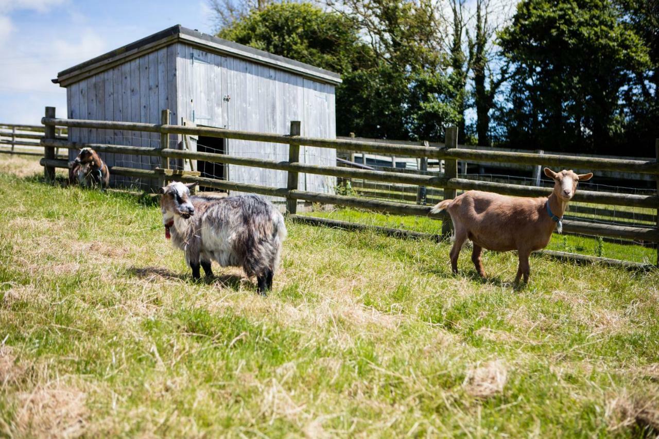Sharlands Farm Holiday Cottages Bude Exterior foto